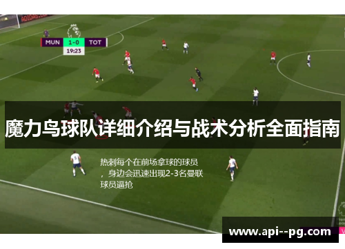 魔力鸟球队详细介绍与战术分析全面指南 魔力鸟球队详细介绍与战术分析全面指南