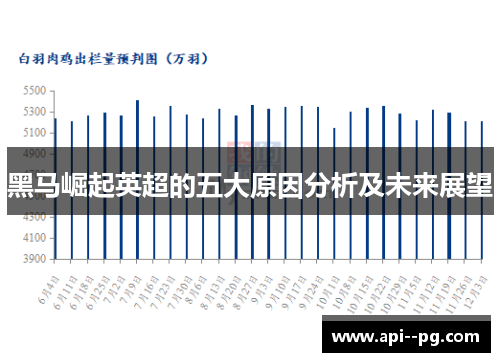 黑马崛起英超的五大原因分析及未来展望 黑马崛起英超的五大原因分析及未来展望