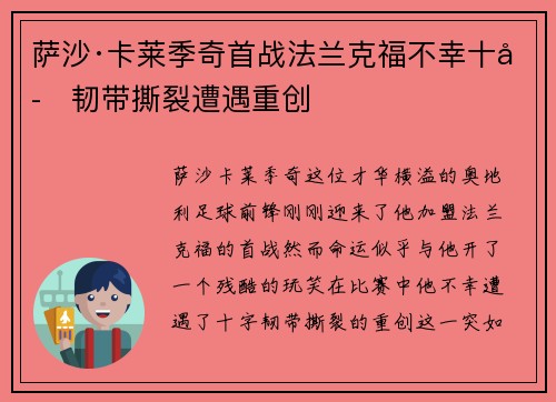 萨沙·卡莱季奇首战法兰克福不幸十字韧带撕裂遭遇重创 萨沙·卡莱季奇首战法兰克福不幸十字韧带撕裂遭遇重创