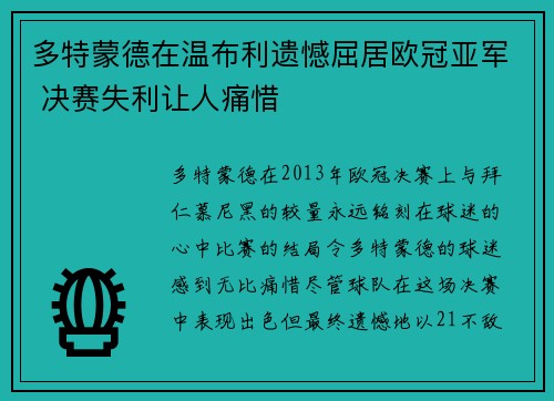 多特蒙德在温布利遗憾屈居欧冠亚军 决赛失利让人痛惜 多特蒙德在温布利遗憾屈居欧冠亚军 决赛失利让人痛惜